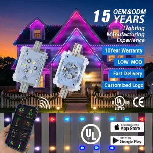 48V Smart App-Controlled RGBW Christmas Point Lights 300ft 400ft 500ft for Building Decoration