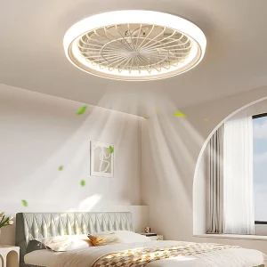 48cm 19-Inch Moon LED Ceiling Fan Light with Bedroom and Living Room Use