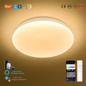 60W Smart Home LED Ceiling Lights WiFi App Control Remote Dimmable Eco Friendly CRI>80 for Residential Use Bedroom Living Room