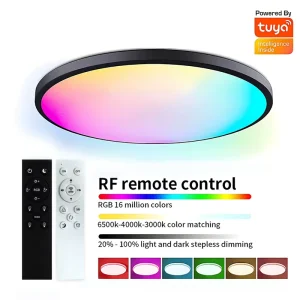 85-265V 24W WiFi Smart ABS Ceiling Light RGBCW Color Changing