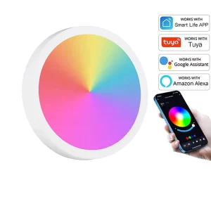 9W 12W 18W 24W LED RGB Multi CCT Tuya WiFi Ultra Thin Round Square Modern Smart Ceiling Panel Light