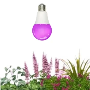 9W A60 Indoor Bloom LED Grow Light Bulb CRI 90 400-700 PPFD IP40