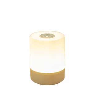ABS LED Night Lamp with Remote Control for Bedroom, Bedside or Bar Table