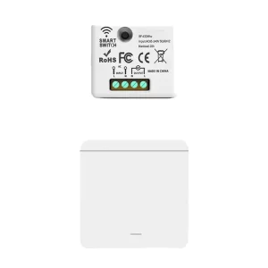 AC 220V Wireless Remote Control Switch with Wi-Fi Receiver for Bedroom and Hall Lighting
