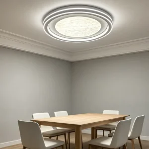 AC Powered Modern Iron Frame LED Ceiling Light with Acrylic Glass Plastic Components