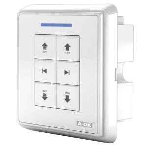 AC228-01 Smart Home Wireless Remote Control Double-Route Wall-Mount Crystal Radio Receiver Switch