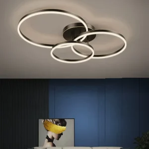 Acrylic Gold and Black LED Ceiling Light for Bedroom or Living Room