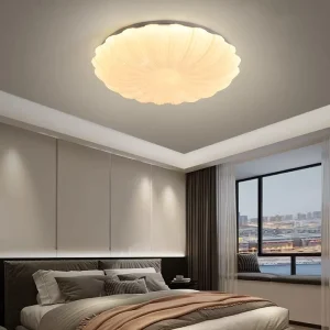 Acrylic Iron LED Ceiling Light High CRI 80-90 220V Bedroom Surface Mounted Lamp