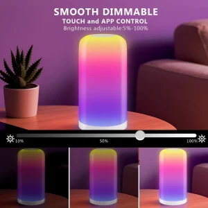 Adjustable Brightness LED Multicolored Night Light Cute Meditation Lamp Kids Bedroom Touch Control ABS USB Modern Home 50000