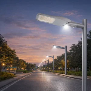 Advanced IP66 IK10 190lm High Efficacy AC LED Street Light for Roadway Highway Smart Public Areas