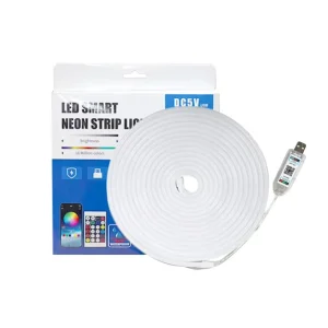 App Control USB 5V Flexible Neon Lamp 5m Kit for Home and Game Room RGBIC Colorful IP65 Neon Strip Light