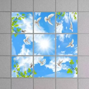 Artificial Skylight LED Panel Light, 595x595mm, 40W, Blue Sky and Cloud Print, CRI90, Office/Hospital/Mall