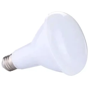 BR40 LED Bulb Home Lighting Indoor Light 110v 220v LED Bulbs