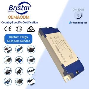 BST OEM 5 in 1 Triac Dimmable Indoor CV IP20 Power Supply 30w 12v 24v Constant Voltage Board Module Led Driver