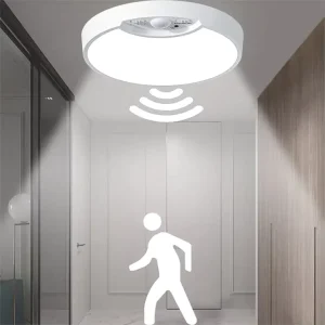 Battery Operated Indoor Outdoor LED Motion Sensor Ceiling Light