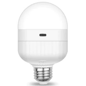 Battery Operation Rechargeable Light Bulbs with Remote Control 5000mah