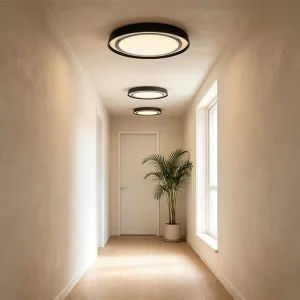 Black Aluminum and Acrylic Surface-Mounted LED Ceiling Light for Living Room or Bedroom