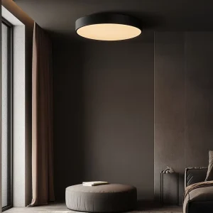 Black and White WiFi LED Ceiling Light for Living Room