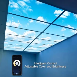 CCT Changeable Dimmable LED Flat Panel Light 3000K 6000K 2×2 1×4 2×4
