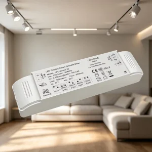 CCT Tunable White Tuya APP LED Electronic Transformer AC 220 240V to DC 12V 24V Zigbee Dimmable LED Lighting Driver