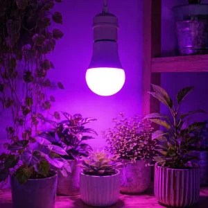 China Factory E26 120V Red Blue LED Plant Grow Light Dimmable Zero Flicker Grow Lamp