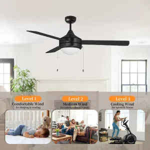 China Manufacturer Remote Control AC Modern Black Color Chandelier Ceiling Fan
