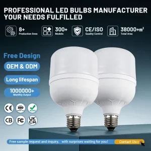 China Manufacturers Made Competitive Price 5W 10W 15W 20W 30W 40W 50W 60W Single Street Led Bulb Light for Sale