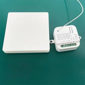 China Smart Life Wireless Remote Control Smart Switch WiFi Dimmer LED Lighting IP44 Waterproof for Office Building