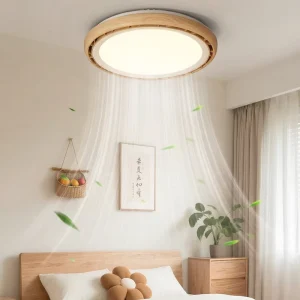 Circular Acrylic LED Ceiling Light with Switch Control