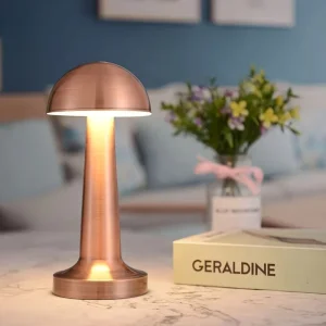 Color Temperature Adjustable LED Desk Lamp Modern Mushroom Shaped Metal Shade Touch Control Dimmable 5V USB Battery Plastic