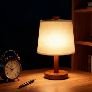 Compact Portable LED Desk Lamp USB C Rechargeable Touch Dimmable Eye Friendly Lamp for Student & Commercial Use