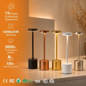 Cordless LED Desk Lamps Wireless Rechargeable Touch Dimming Portable Bar Restaurant Lights Modern Table Lamp