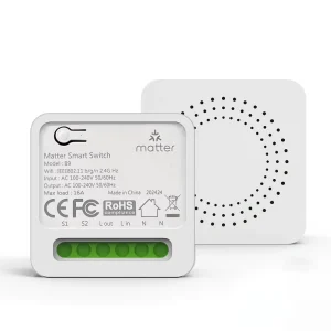 Cross Border Matter Switch HomeKit Alexa Voice 16A Remote Control Google Assistant SmartThings for WiFi Model B9