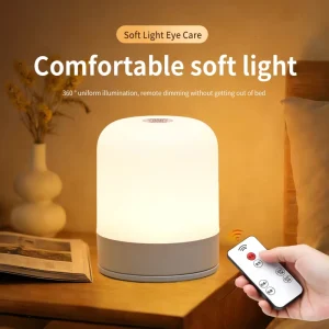 Custom LED Night Light Warm Light 3000K 4500K 6000K Bedroom Battery Powered Remote Touch Control Simple Soft Light Table Lamp