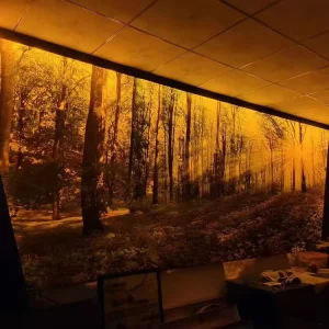 Customizable Freestanding LED Backlit Exhibition Light Box, Size and Color Options