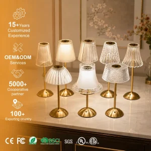 Customize Cordless Rechargeable Restaurant Bedroom Touch Control Desk Lamp 2w Led Table Lamp