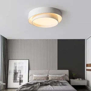 Customized Manufacturer Metal LED Ceiling Light for Hotel Living Room Bedroom and Indoor Home Use