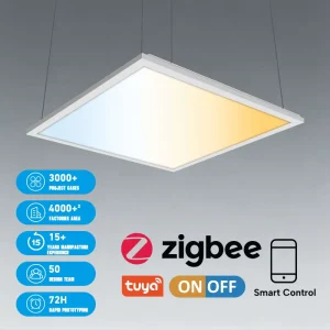 DALI Tunable White 1×4 2×2 2x4ft CCT Selectable LED Panel Light AC230v Dimmable Surface Mounted Back Lit Led Flat Panel Light