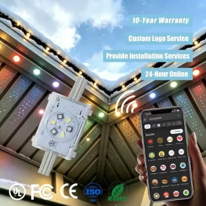 DC 48V 200ft 300ft Jellyfish Permanent Outdoor Christmas Lighting UCS2904 IP68 Eave Pixel Point Lights for Building