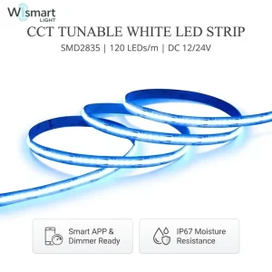 DC12V 24V Tunable White LED Strip Light SMD2835 120LEDs m CCT 2700K 6500K Flexible Tape Smart Dimmer Ready