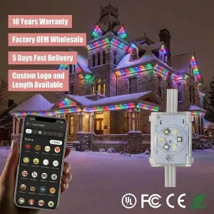 DC48V RGBIC Permanent Outdoor Point Lights 6 LED SMD5050 IP68 Waterproof Christmas Decoration Lighting for Buildings