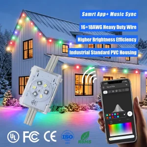 DC48V Smart App Controller Pixel Point Lights 200ft 300ft 400ft IP68 Outdoor Christmas Lighting