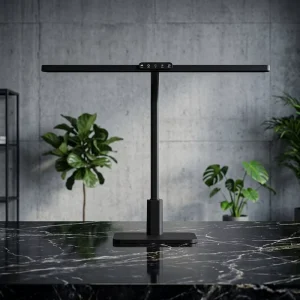 Desk Lamp with Long Arm and Adjustable Brightness