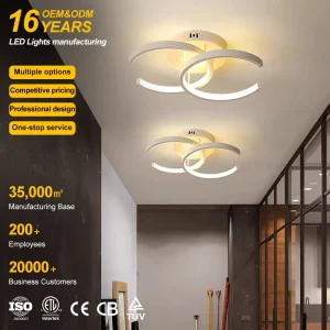 Dimmable Acrylic Decorative LED Ceiling Light for Restaurant and Living Room