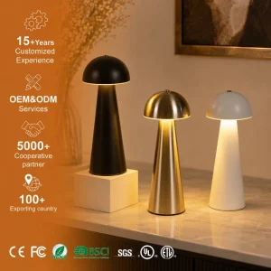 Dimmable Rechargeable Touch Control Desk Lamp Decorative Living Room Bedroom Restaurant Bedside 2w Led Table Lamp