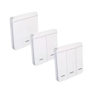 Double Wireless RF Remote Switch Panel 10A 220V Battery Powered 100m Control Distance