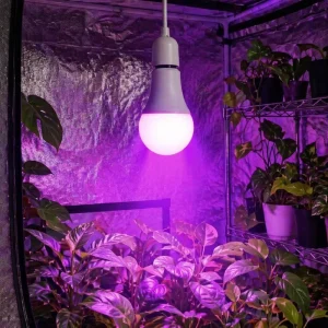Dual Red Blue Chip LED Grow Bulb Dimmable Flicker Free 120V E26 Supplement Light Accelerate Plant Germination & Blooming