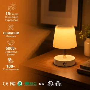 Dual Use Rechargeable LED Night Light Desk Lamp Eye Protection Telescopic Table Lamp for Student Dormitory Bedside Reading