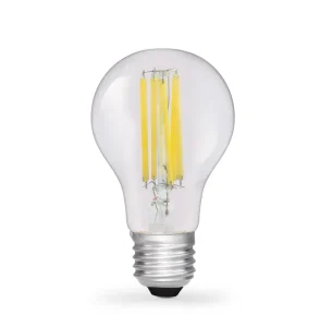 E27 6W 12V/24V DC 2700K A60 A19 LED Filament Bulb