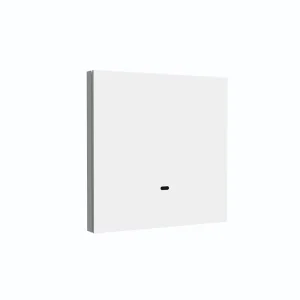 EU 1-Gang WiFi Smart Light Switch Panel with App Timing and Remote Control